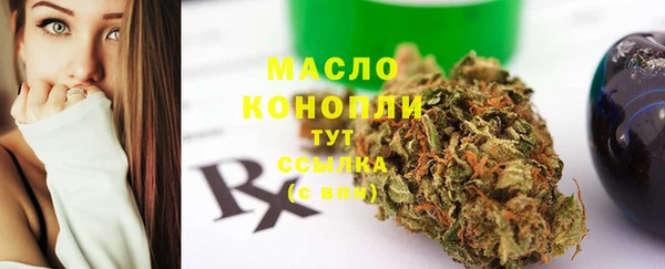 амф Бородино
