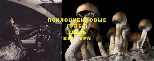 spice Богородицк