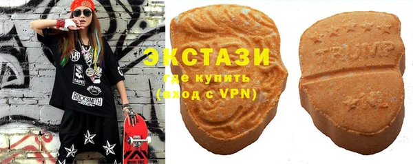 spice Богородицк