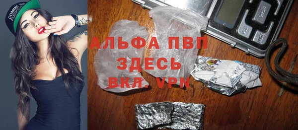 амф Бородино