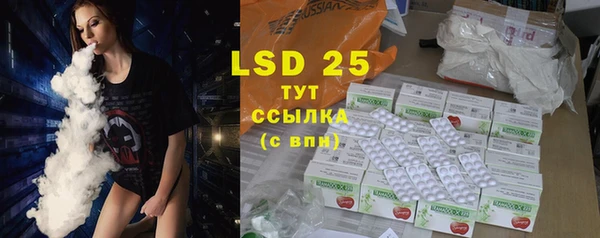 spice Богородицк