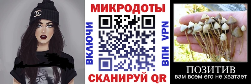 нарко площадка официальный сайт  Мещовск  Псилоцибиновые грибы Magic Shrooms  где продают  